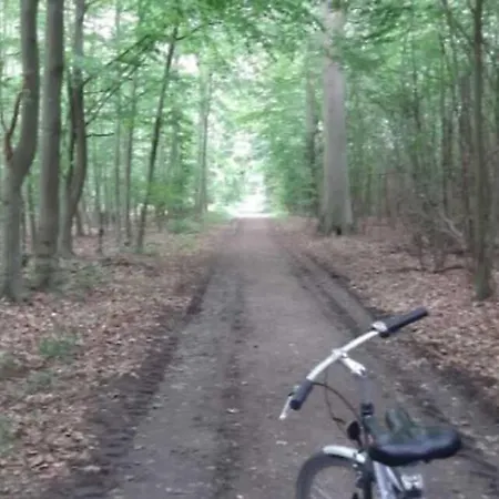 לינה וארוחת בוקר Badehotellet Lohals *