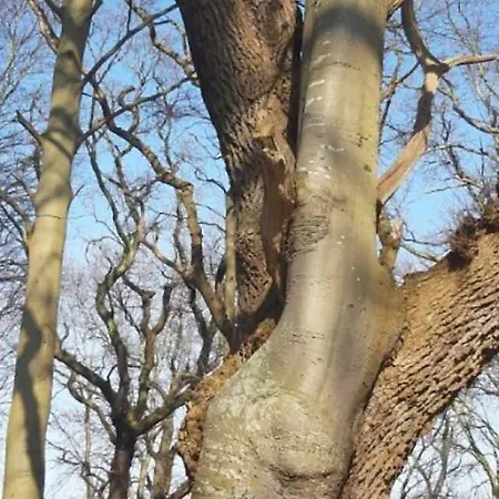 Badehotellet Lohals לינה וארוחת בוקר