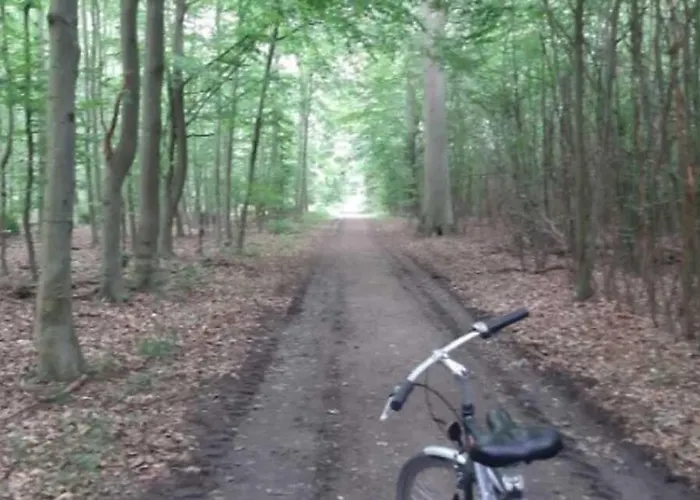 Alojamento de Acomodação e Pequeno-almoço Badehotellet Lohals *