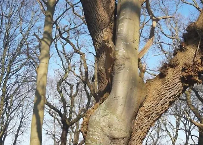 Badehotellet Lohals Alojamento de Acomodação e Pequeno-almoço