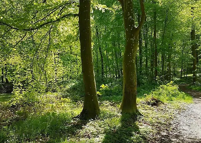 Badehotellet Lohals Alojamento de Acomodação e Pequeno-almoço *